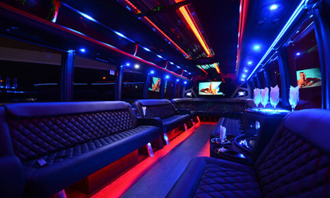 party bus rental tampa