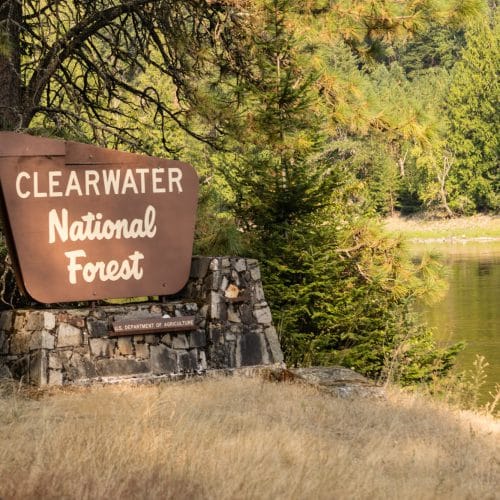 Clearwater Limo Service