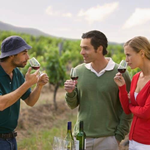 Wine Tours