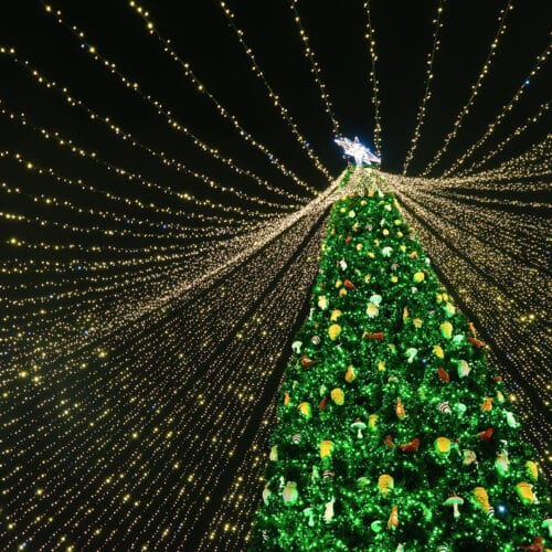 Holiday Lights Tour