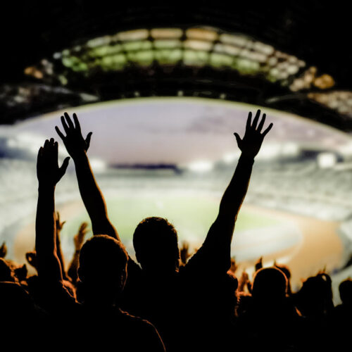 Tropicana Field Limo Service Tropicana Field Limo Service